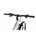 Horský bicykel ROMET RAMBLER R6.2 L Strieborno-modrá